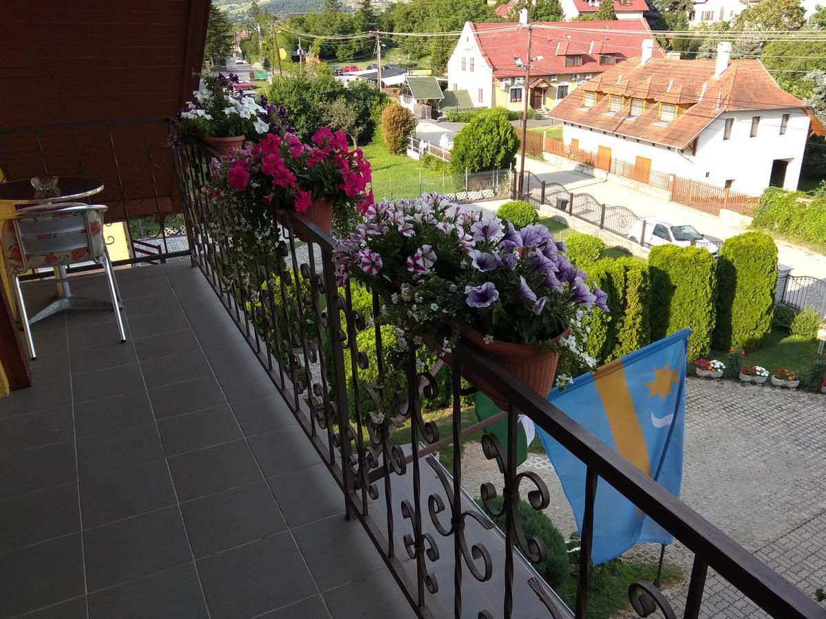 Hotel Anna Ilona Vendeghaz Badacsonytomaj Exterior foto