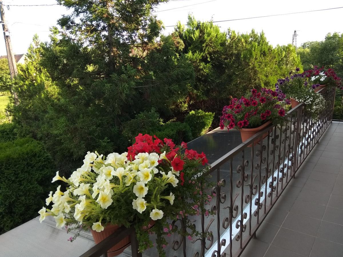 Hotel Anna Ilona Vendeghaz Badacsonytomaj Exterior foto