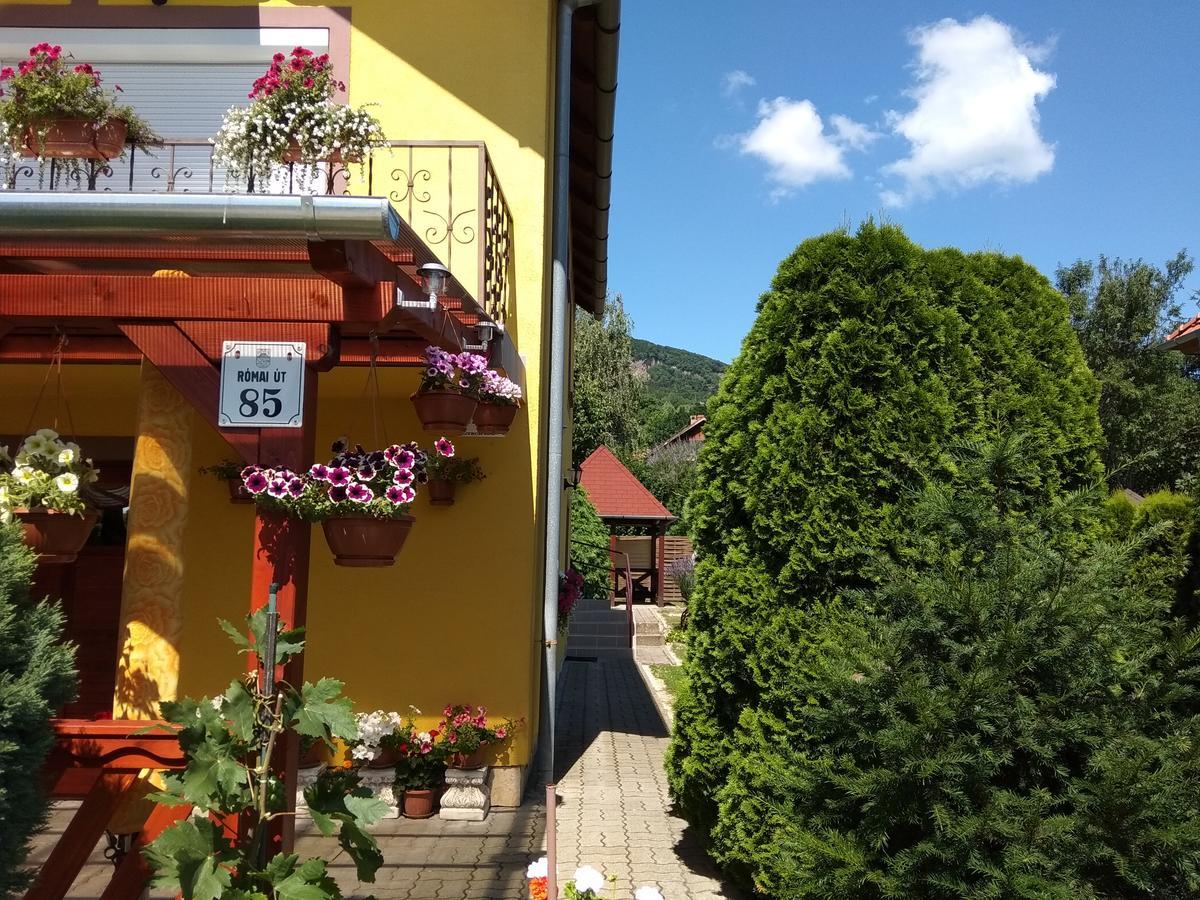 Hotel Anna Ilona Vendeghaz Badacsonytomaj Exterior foto